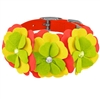 Citrus Flower Designer Dog Collar | Ultrasuede