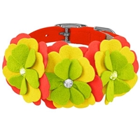 Citrus Flower Designer Dog Collar | Ultrasuede