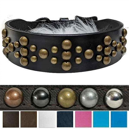 Leather Dog Collar with Dome Studs