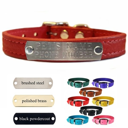 Custom Dog Collar with Name Plate | Leather