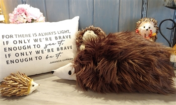 Harold the Hedgehog -- Pillow Workshop