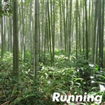 Japanese Timber Bamboo