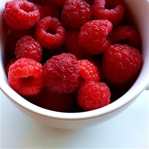 September Raspberry Plant