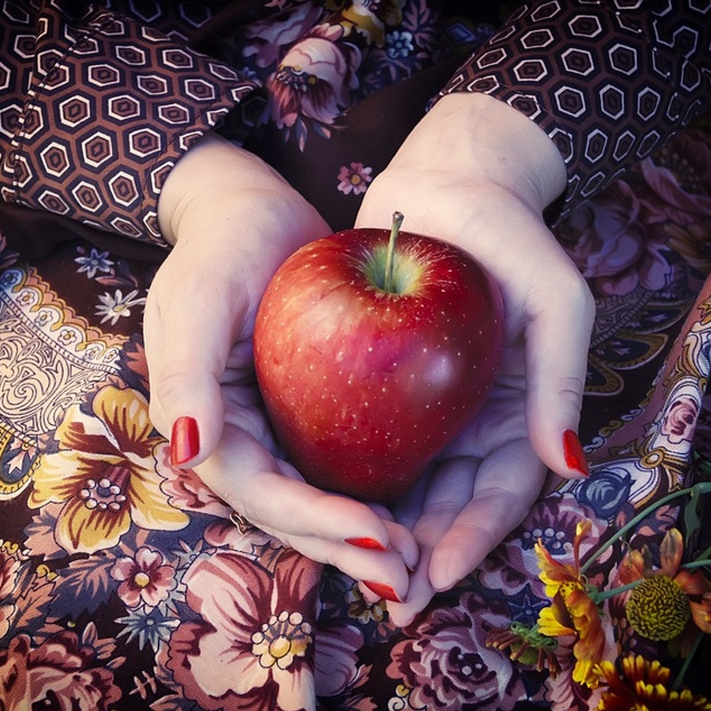 Red Fuji Apple Tree - Stark Bro's