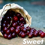 Bing Cherry Tree