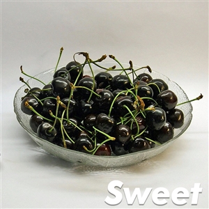 Buy Black Tartarian Cherry Trees from Ty Ty Nursery