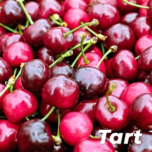Buy Dwarf North Star Cherry Trees from Ty Ty Nursery