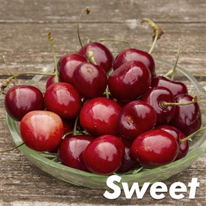 Buy Bada Bing Cherry Trees from Ty Ty Nursery