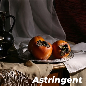 Buy Chocolate Persimmon Trees from Ty Ty Nursery