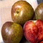 Buy Flavor Supreme Pluot Trees