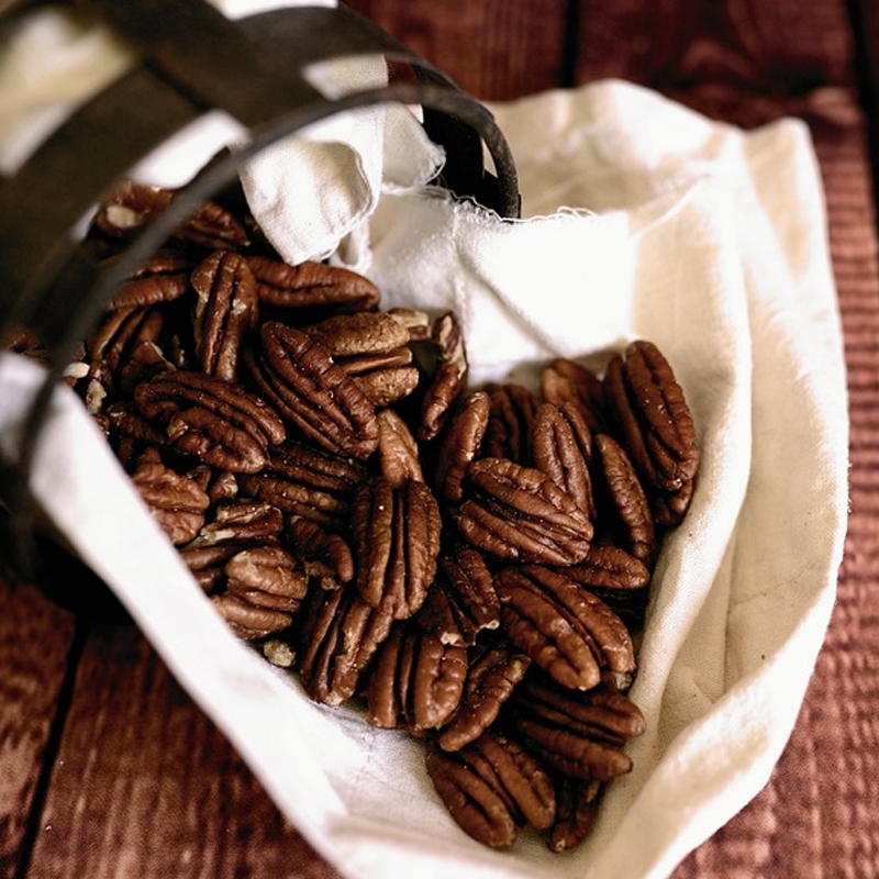 Buy Amling Pecan Trees from Ty Ty Nursery