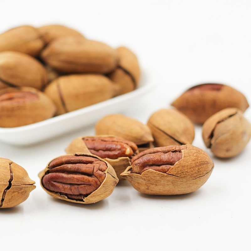 Mahan Pecan Tree