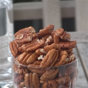 Northern James Pecan Tree