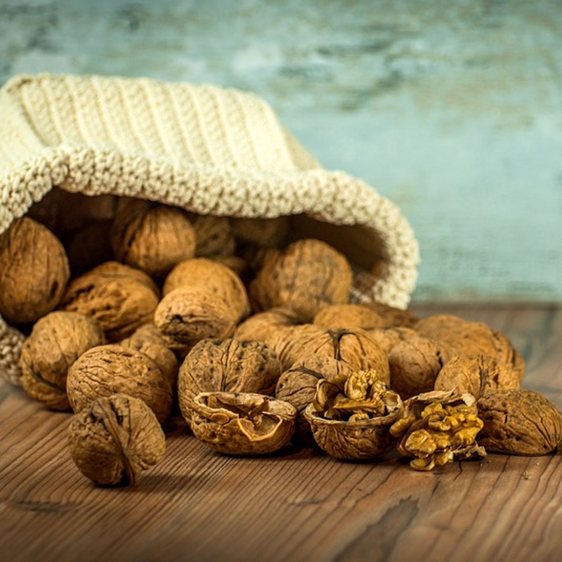 Ukrainian Walnut Tree