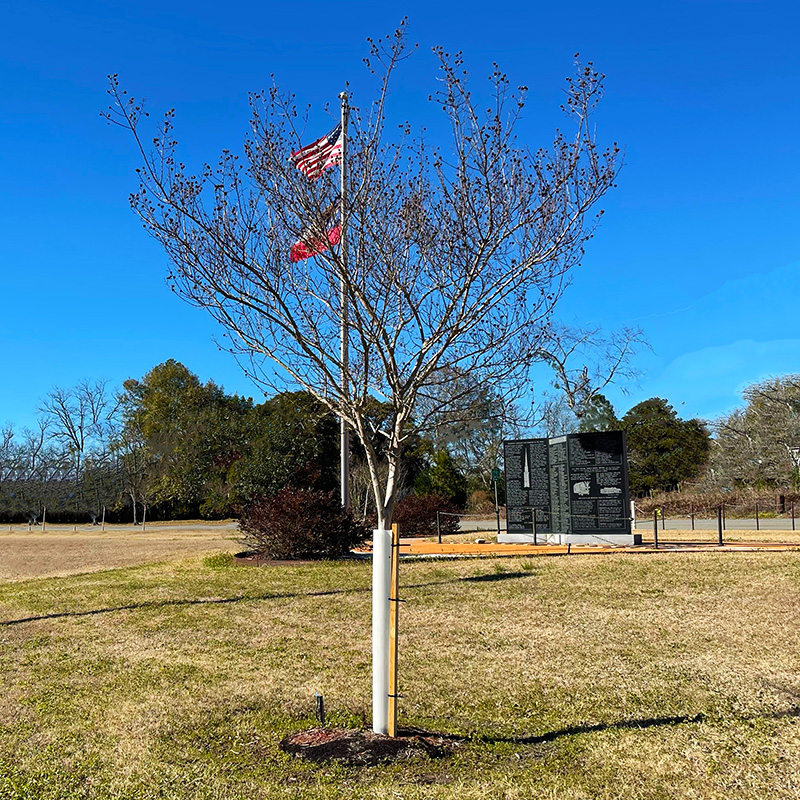 Tree Shelter