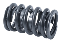 Neon Mopar Performance Valve Spring - P4876636