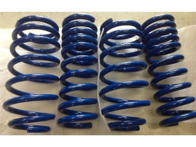 Charger Mopar Performance Lowering Springs - P5155436