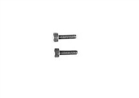 Tamiya 3X10mm Cap Screw 2pcs. 9805612