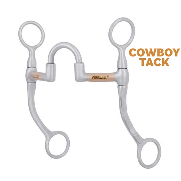 Cowboy Tack® FG Brushed Stainless Steel Correction Bit