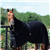 Classic Equine® Premium Polar Fleece Cooler