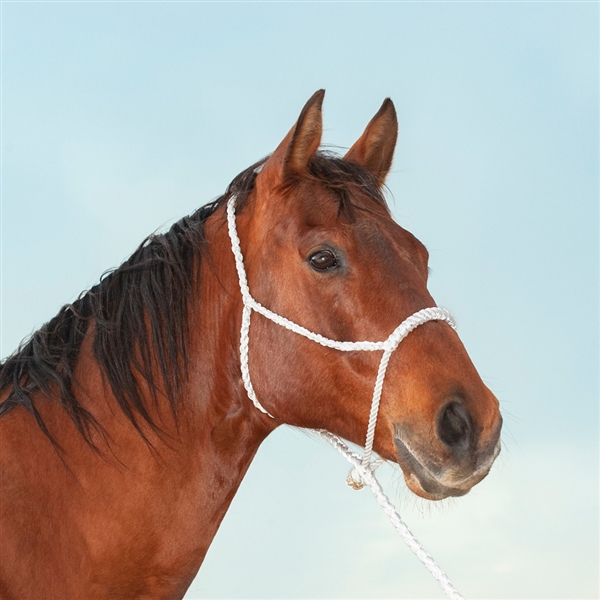 Martin Saddlery® Cowboy Rope Halter w/Mule Tape Lead-White