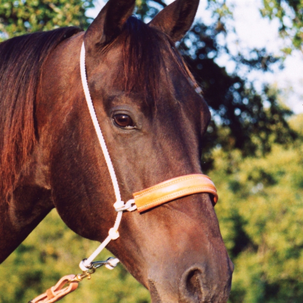 Martin Saddlery® Leather Nose Headsetter Tiedown