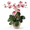 Silk Plant - Triple Mini Phalaenopsis Silk Orchid Arrangement