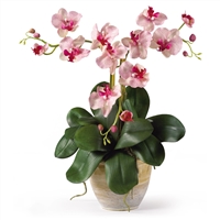 Silk Plant - Triple Mini Phalaenopsis Silk Orchid Arrangement