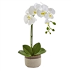 Nearly Natural - Phalaenopsis White Orchid in Ceramic Pot