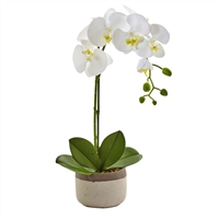 Nearly Natural - Phalaenopsis White Orchid in Ceramic Pot