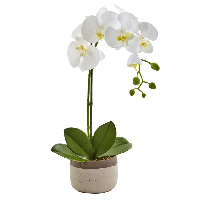 Nearly Natural - Phalaenopsis White Orchid in Ceramic Pot