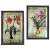 Framed French Floral Art Prints - Set of Two