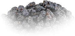 Organic Black Mulberries