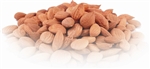 Organic Wildcrafted Apricot Kernels