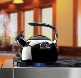 Cuisinart&reg; PerfecTemp&reg; Teakettle