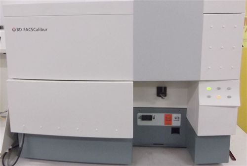 BD FACSCAlibur 2 Laser, 4 Color Flow Cytometer