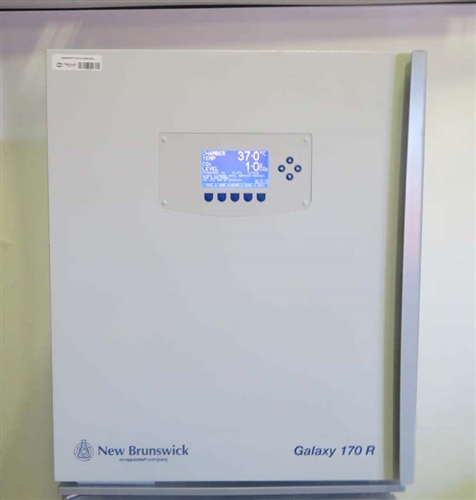 New Brunswick Galaxy 170R CO2 Incubator