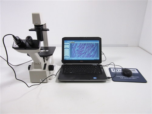 Nikon TMS Inverted Phase Contrast Microscope