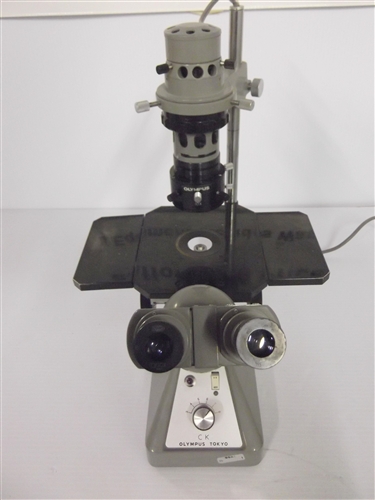 Olympus CK Inverted Microscope