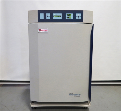 Thermo Scientific Napco 8000 CO2 Water Jacketed Incubator