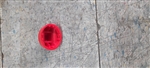 TARAGATE GEARED REEL RED CAP