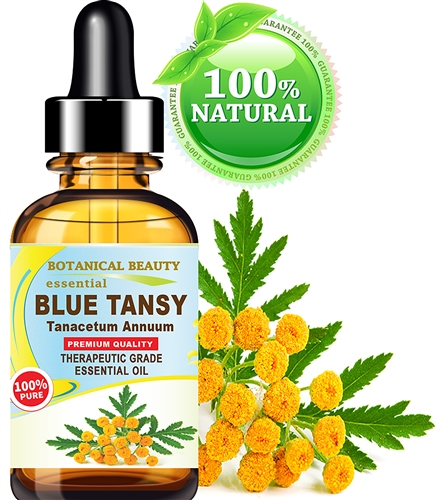 BLUE TANSY ESSENTIAL OIL Tanacetum annum