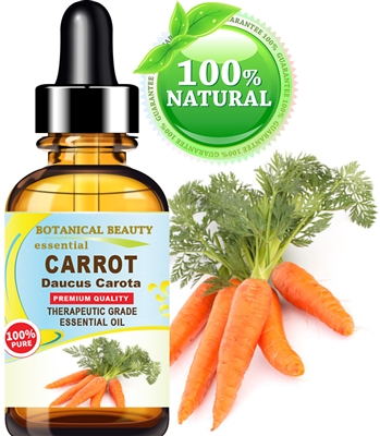 Carrot Seed Essential Oil Botanical Beauty