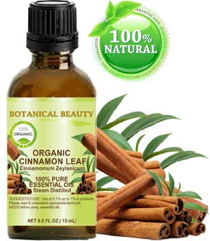 Organic Cinnamon Leaf Essential Oil Botanical Beauty
