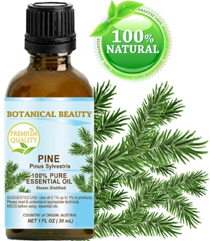 Pine Essential Oil Botanical Beauty
