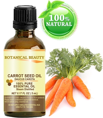 Carrot Seed Essential Oil Botanical Beauty