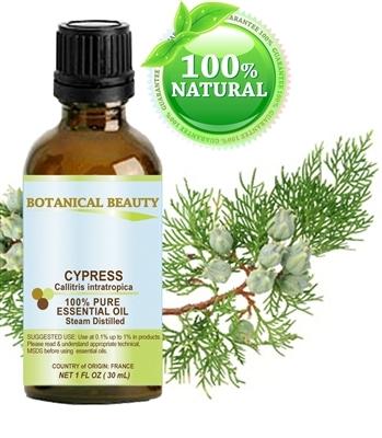 Cypress Essential Oil Botanical Beauty