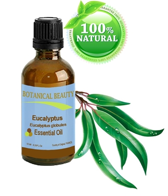 Botanical Beauty EUCALYPTUS Essential Oil