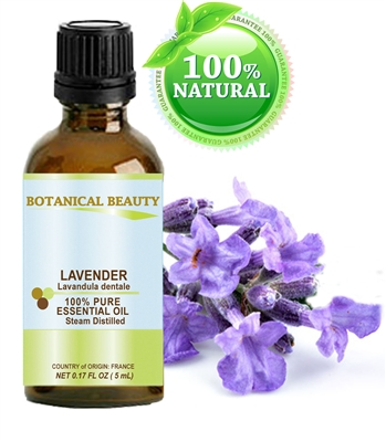 Botanical Beauty LAVENDER Essential Oil