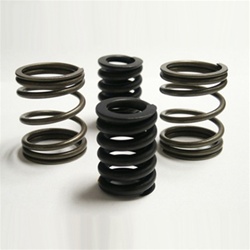 DDP COMPGSK Race Governor Springs 1994-1998 Dodge 5.9L Cummins